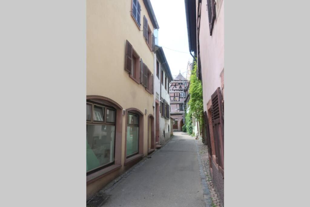 Willa Chey Mybam, Agreable Maison Au Centre De Sélestat Zewnętrze zdjęcie