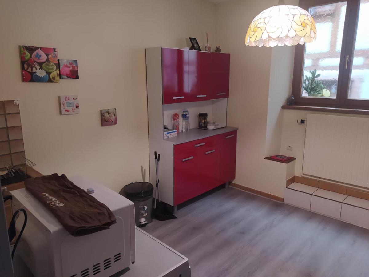 Willa Chey Mybam, Agreable Maison Au Centre De Sélestat Zewnętrze zdjęcie