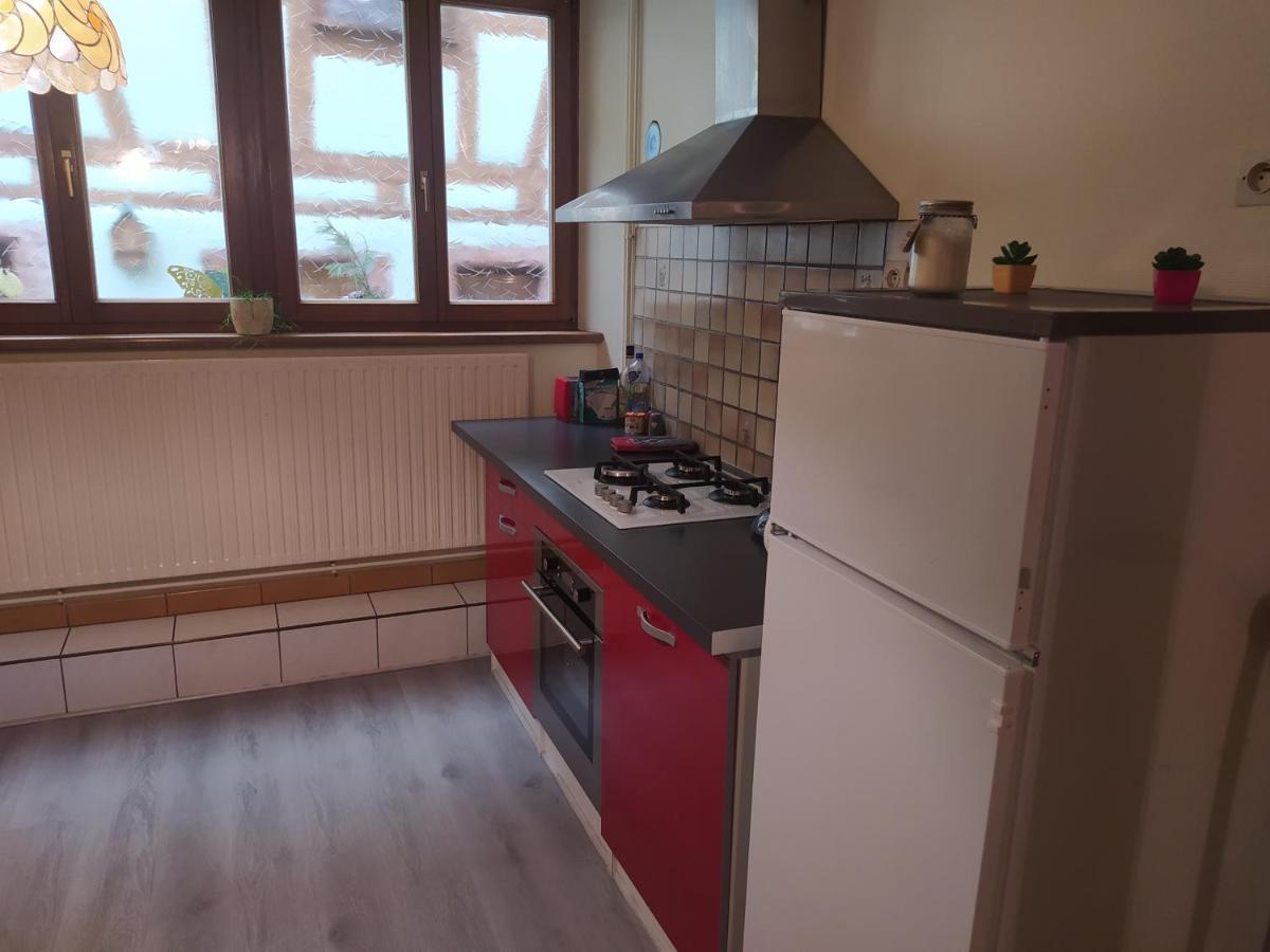 Willa Chey Mybam, Agreable Maison Au Centre De Sélestat Zewnętrze zdjęcie